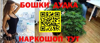 прущие крисы Ставрополь