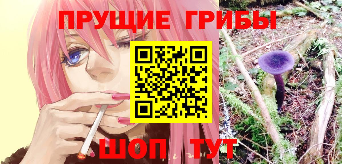 Галлюциногенные грибы мицелий Обь