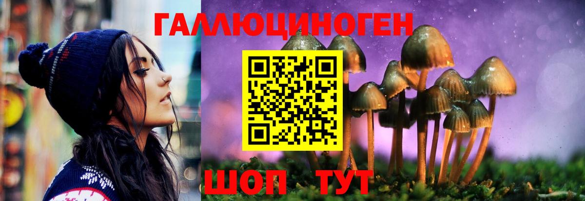 Галлюциногенные грибы мицелий  Вход с VPN  Обь 